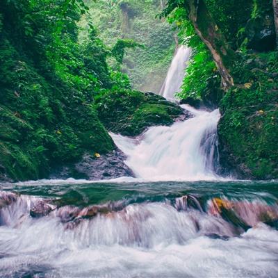 炼神无限元宝版下载